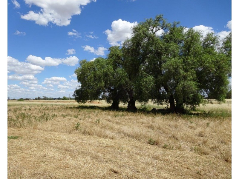 915 Castle Road, Koyuga VIC 3622