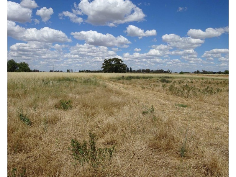 915 Castle Road, Koyuga VIC 3622