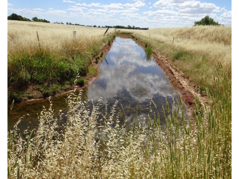 915 Castle Road, Koyuga VIC 3622