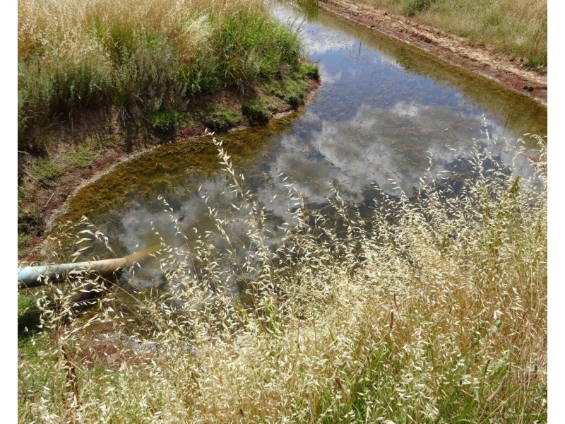 915 Castle Road, Koyuga VIC 3622