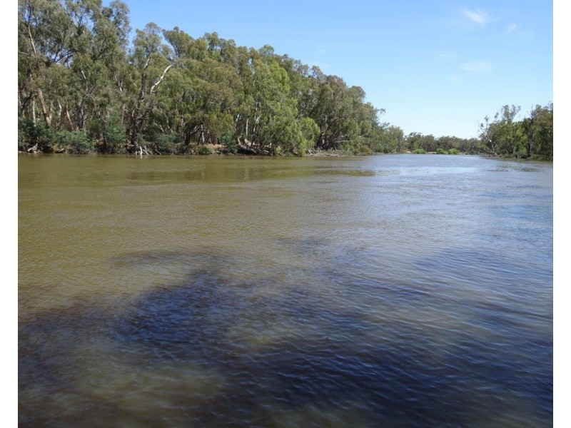 313 Perricoota Forest Road, Moama NSW 2731