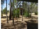 313 Perricoota Forest Road, Moama NSW 2731