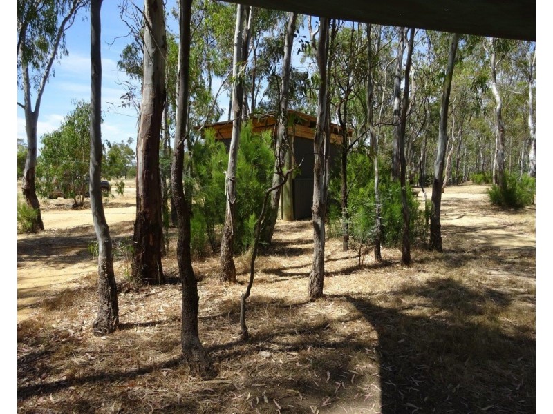 313 Perricoota Forest Road, Moama NSW 2731