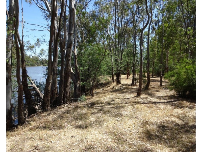 313 Perricoota Forest Road, Moama NSW 2731