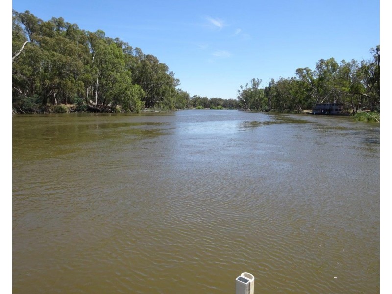 313 Perricoota Forest Road, Moama NSW 2731