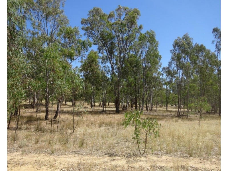 313 Perricoota Forest Road, Moama NSW 2731
