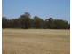 313 Perricoota Forest Road, Moama NSW 2731