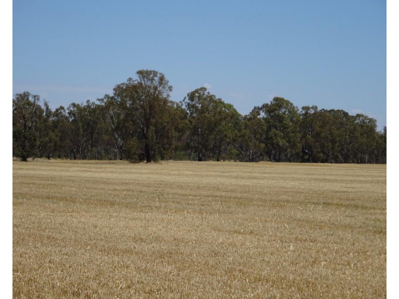 313 Perricoota Forest Road, Moama NSW 2731