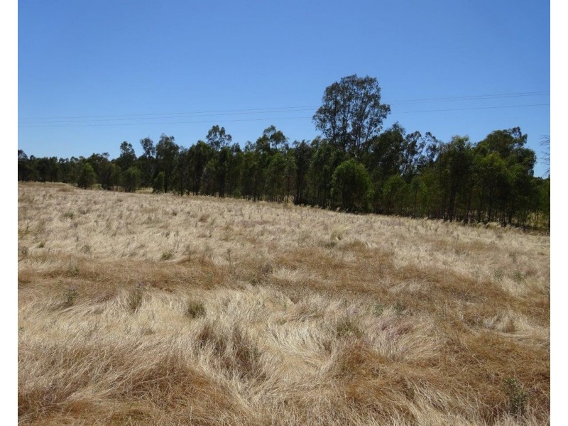 313 Perricoota Forest Road, Moama NSW 2731