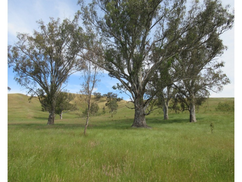 153 Flat Lead road, Yea VIC 3717