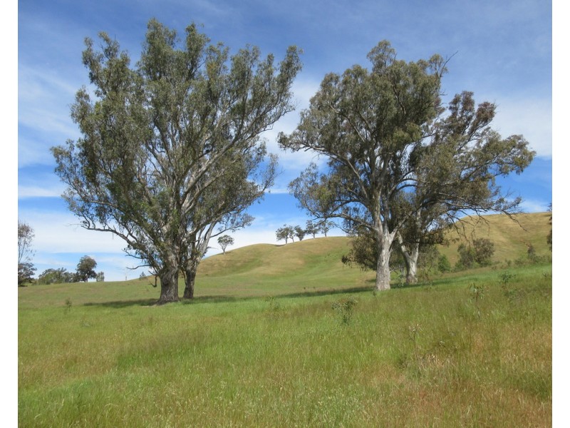 153 Flat Lead road, Yea VIC 3717