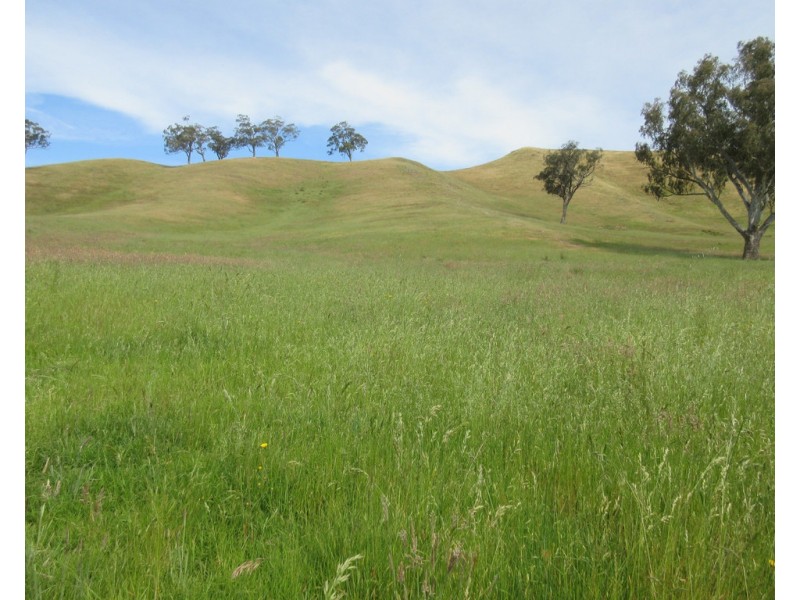 153 Flat Lead road, Yea VIC 3717