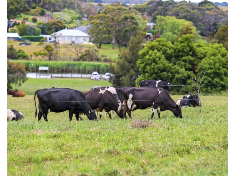Lot 1 Boggy Creek Road, Curdievale VIC 3268