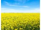 239 and 240 Colac-Ballarat Road, Cressy VIC 3322