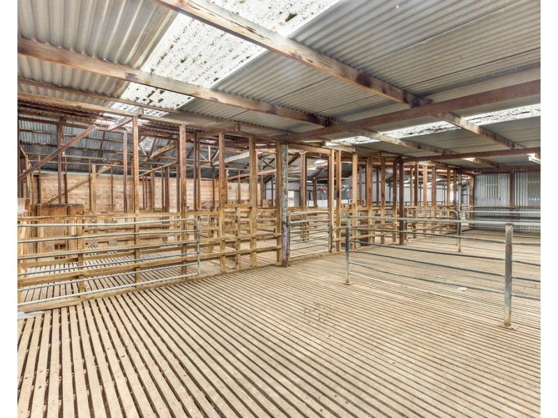 239 and 240 Colac-Ballarat Road, Cressy VIC 3322