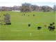 465 Watchbox Road, Barfold VIC 3444