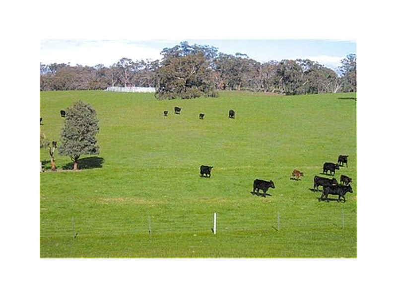 465 Watchbox Road, Barfold VIC 3444
