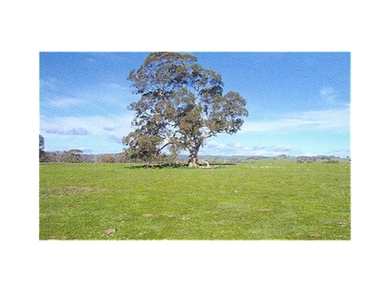 465 Watchbox Road, Barfold VIC 3444