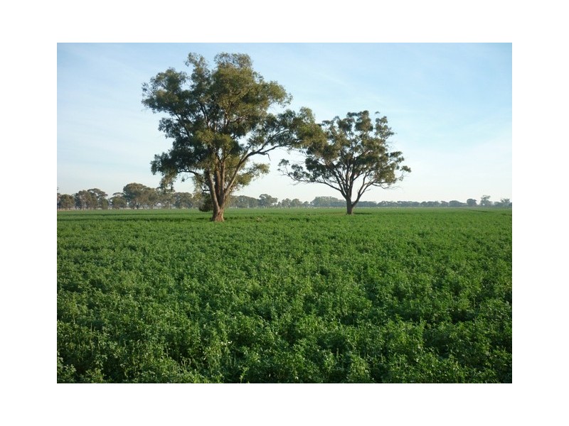 Lot 1 Thyra Road, Moama NSW 2731