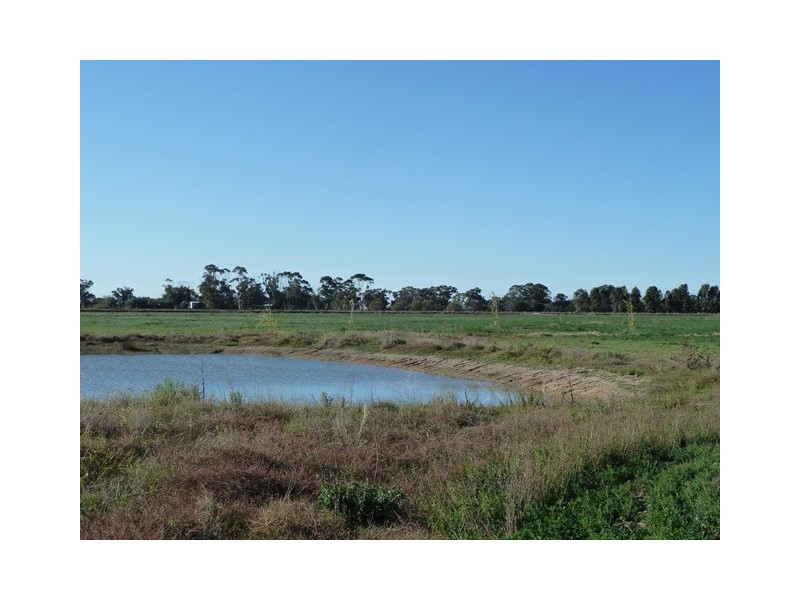 Lot 1 Thyra Road, Moama NSW 2731