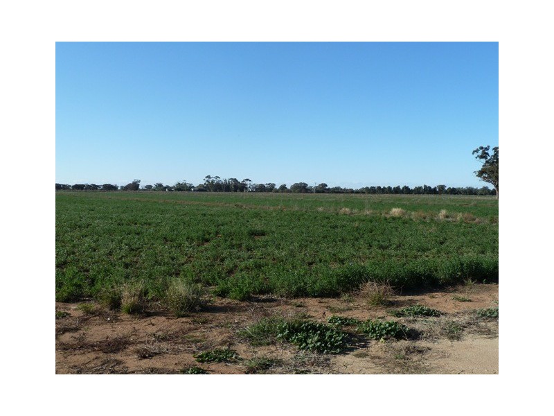 Lot 1 Thyra Road, Moama NSW 2731