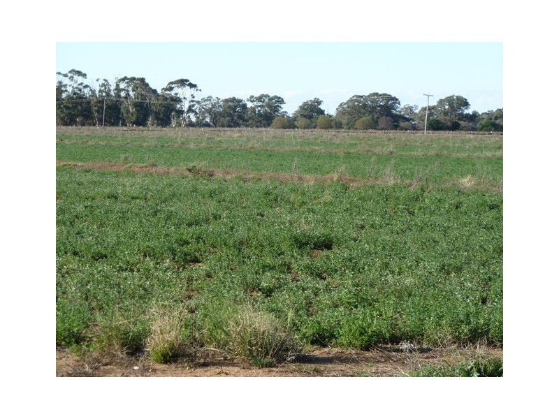 Lot 1 Thyra Road, Moama NSW 2731