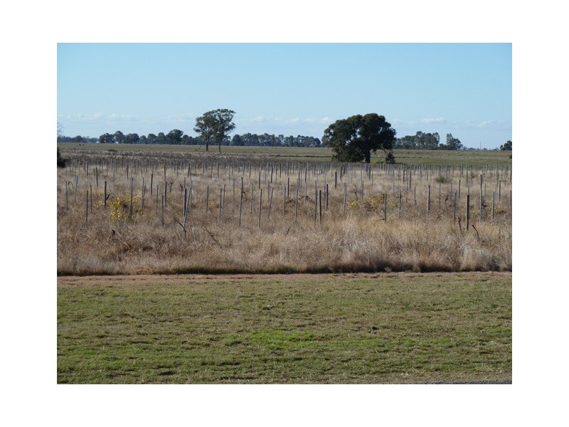 112 Thyra Road, Moama NSW 2731