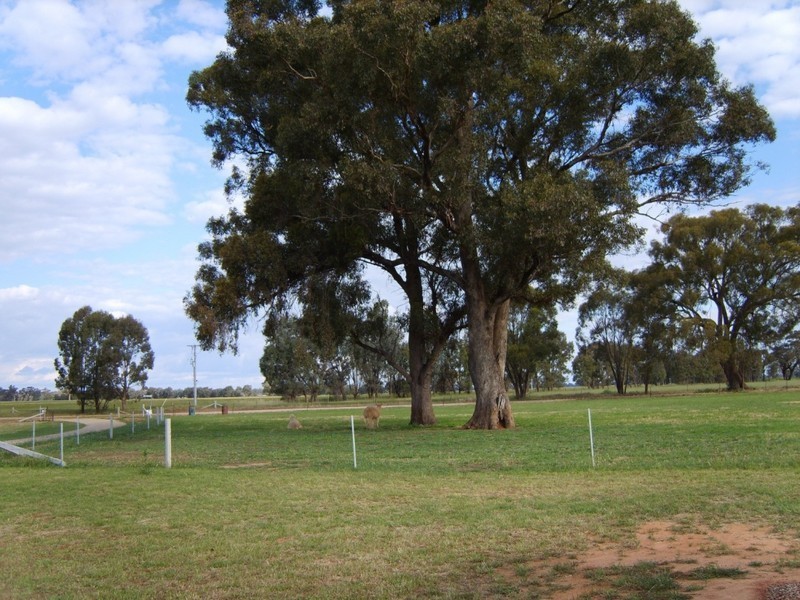 104 Angle Road, Bundalong South VIC 3730