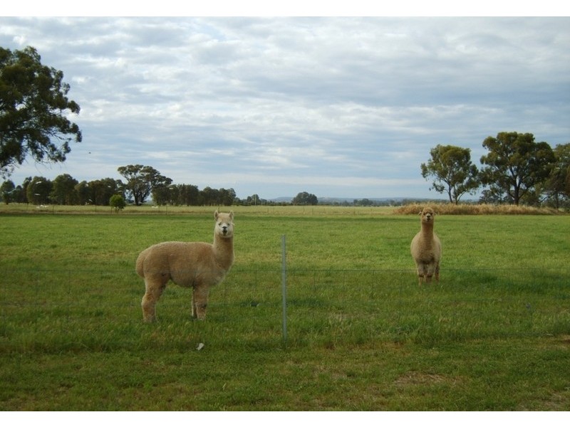 104 Angle Road, Bundalong South VIC 3730