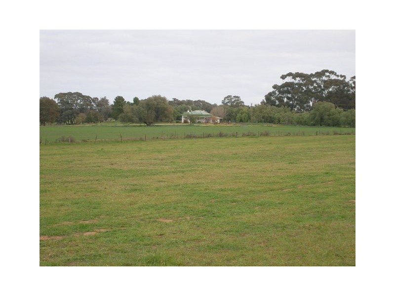 Thyra Road, Moama NSW 2731