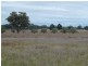 Thyra Road, Moama NSW 2731