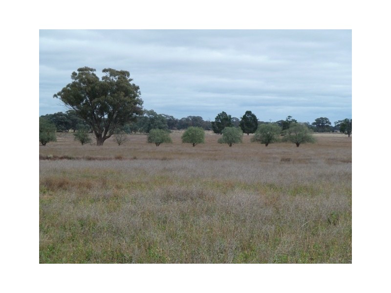 Thyra Road, Moama NSW 2731