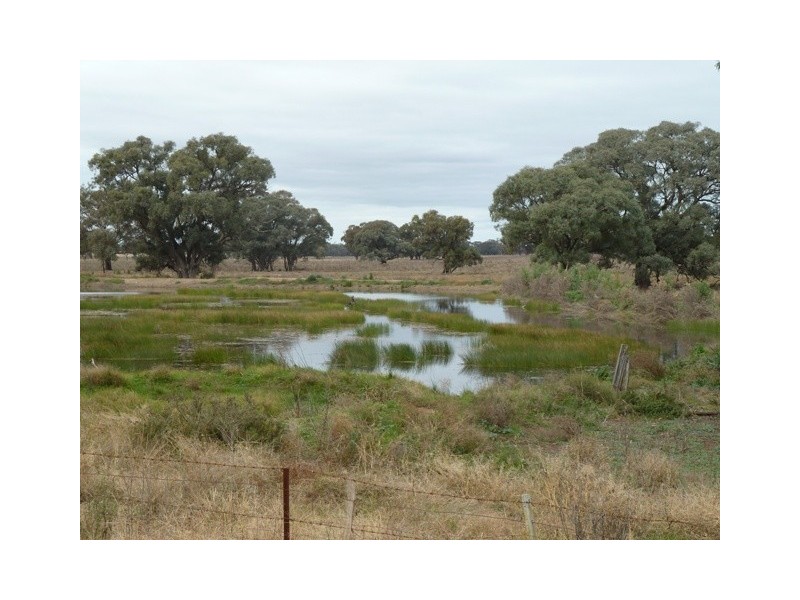 Thyra Road, Moama NSW 2731