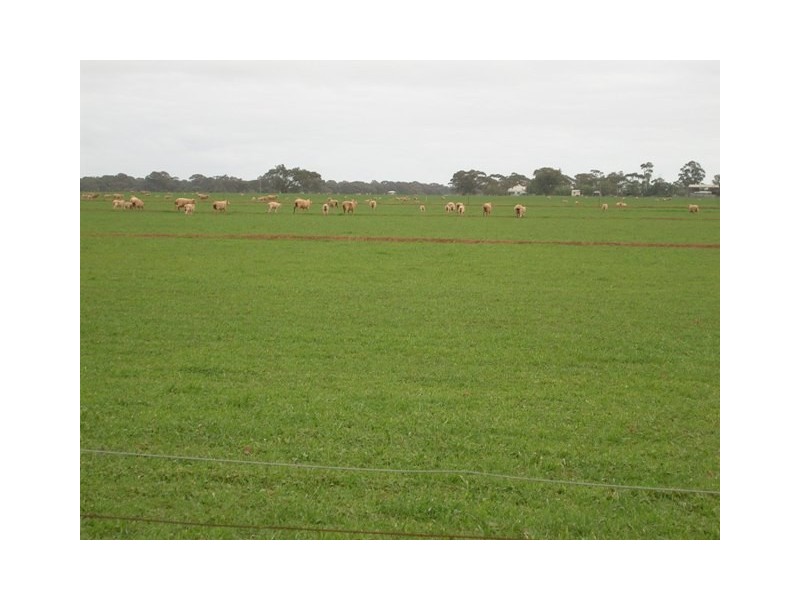 Thyra Road, Moama NSW 2731