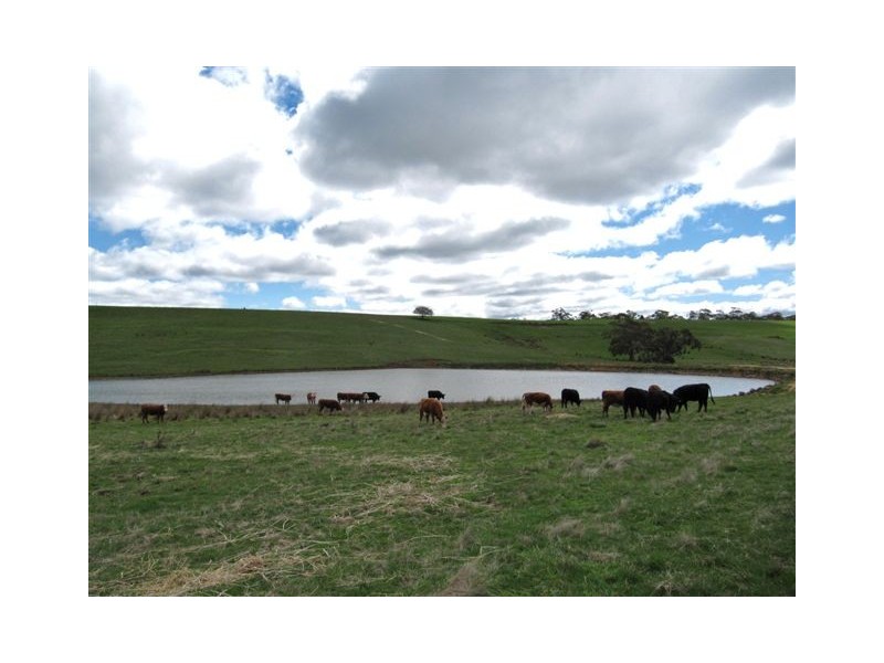 1 James Lane, Tylden VIC 3444