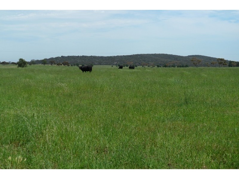 226 Black Hill Road, Gisborne South VIC 3437