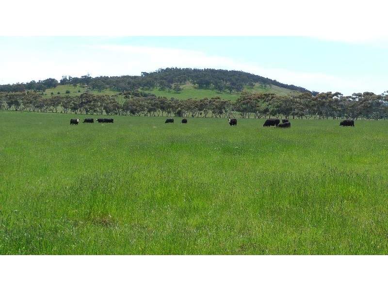 226 Black Hill Road, Gisborne South VIC 3437