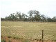 . Lowrie Road, Lockington VIC 3563