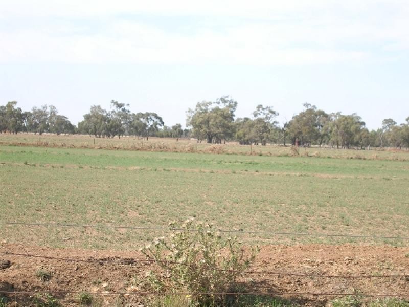 . Lowrie Road, Lockington VIC 3563