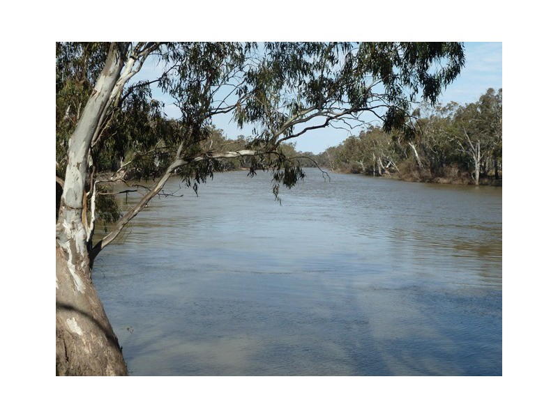 Perricoota Road, Moama NSW 2731