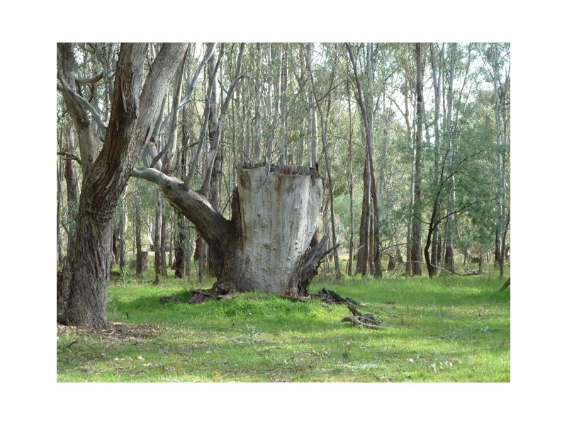 Perricoota Road, Moama NSW 2731