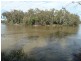 Perricoota Road, Moama NSW 2731