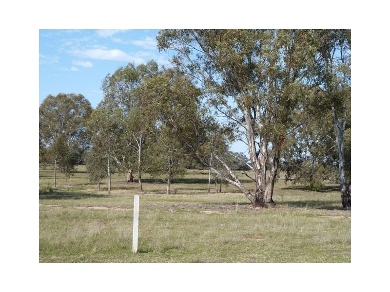 Perricoota Road, Moama NSW 2731