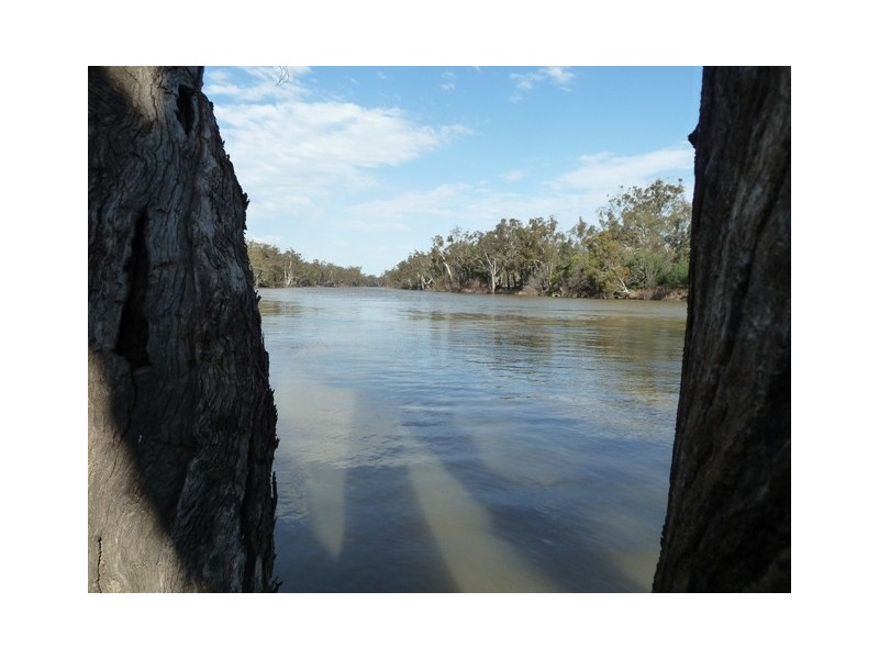 Perricoota Road, Moama NSW 2731