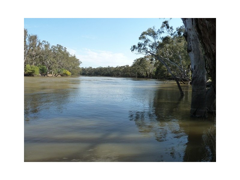 Perricoota Road, Moama NSW 2731
