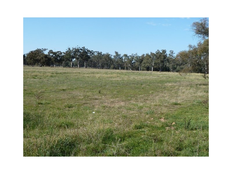 Perricoota Road, Moama NSW 2731