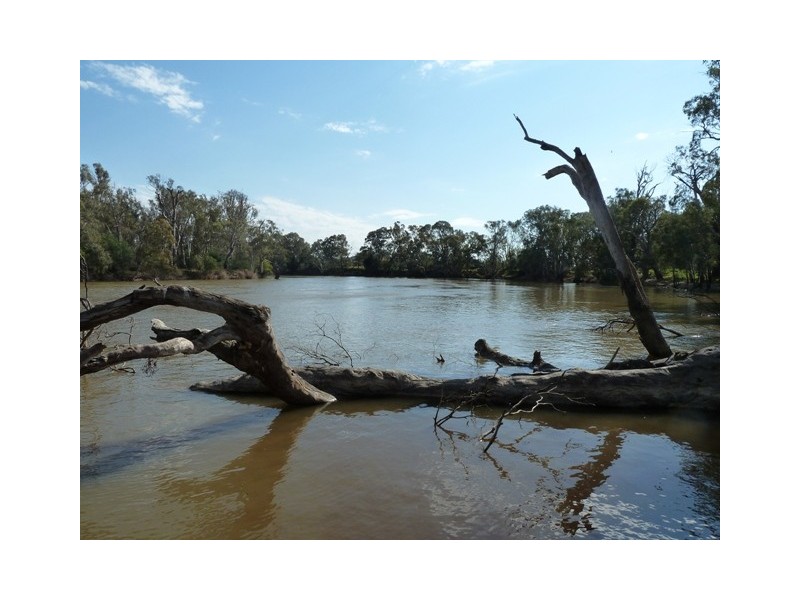 Perricoota Road, Moama NSW 2731