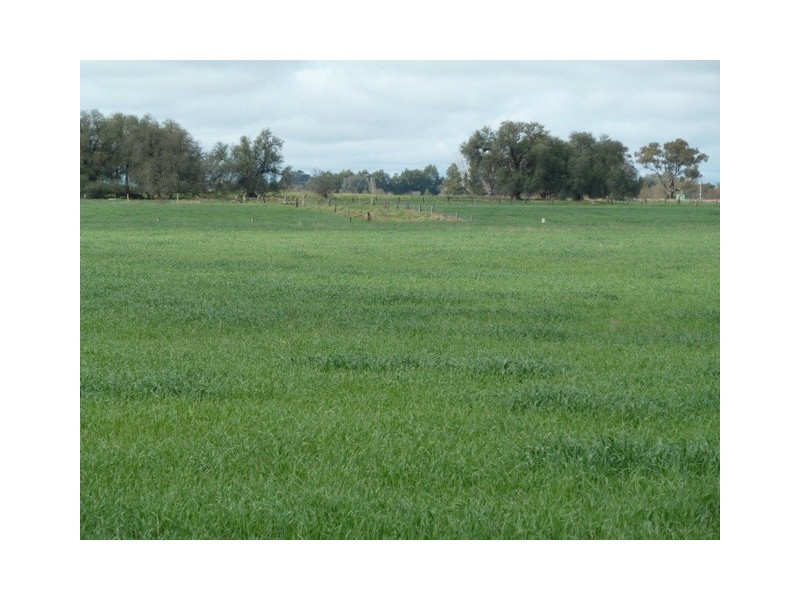 2009 McBain Road, Koyuga VIC 3622