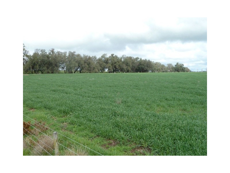 2009 McBain Road, Koyuga VIC 3622