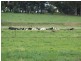 2009 McBain Road, Koyuga VIC 3622